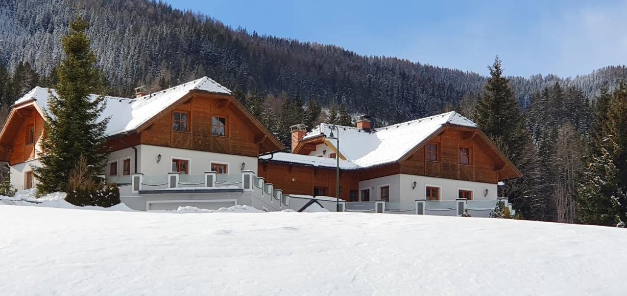 Ferienhaus Alpenblick Krakauschatten ภายนอก รูปภาพ